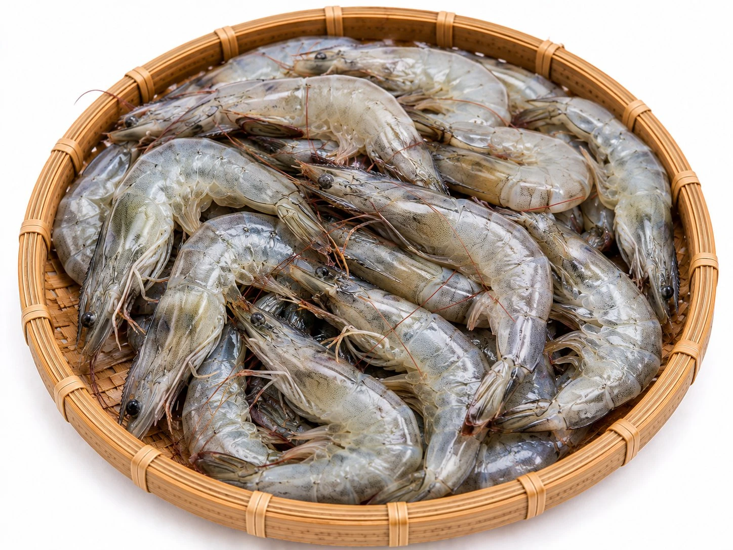 Udang Segar